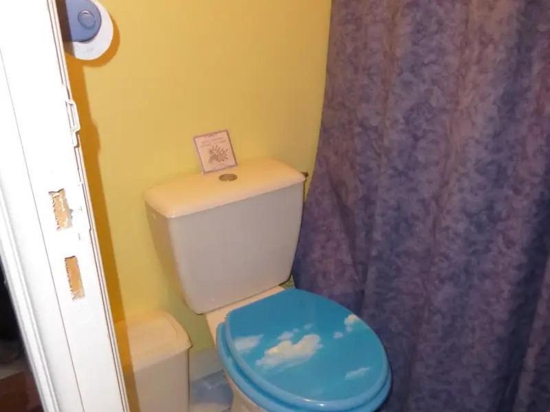 בורדו Chambre Chez L'Habitant - Proche Du Centre - Salle D'Eau Et Wc Prives מראה חיצוני תמונה