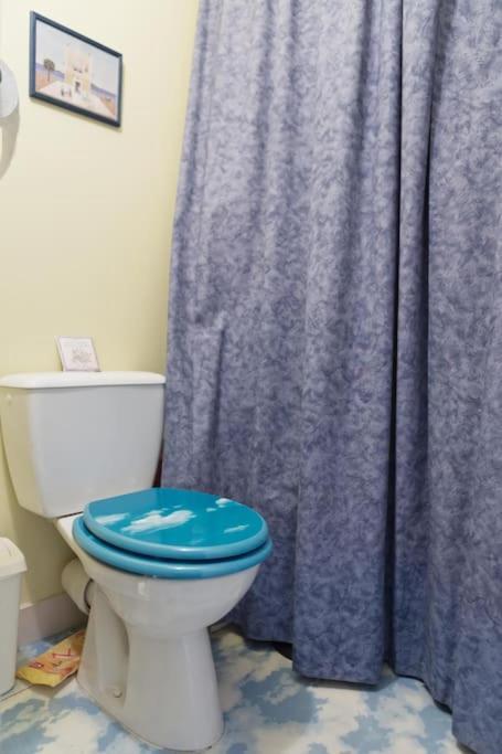 בורדו Chambre Chez L'Habitant - Proche Du Centre - Salle D'Eau Et Wc Prives מראה חיצוני תמונה